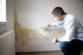  Wade Hampton, SC Mold Removal Pros